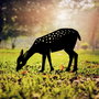 Aberto Design Gazelle 01 Objeto Decorativo Negro